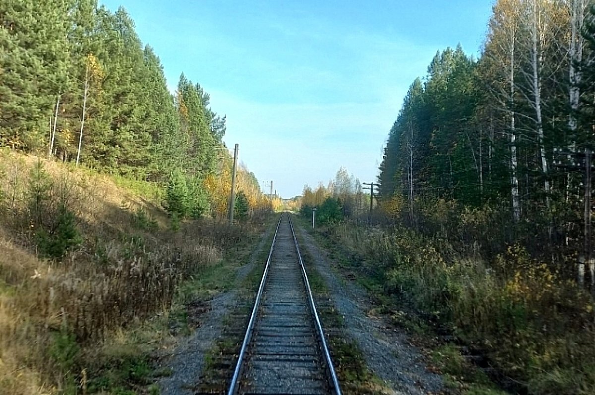    Прокуратура устанавливает обстоятельства гибели тюменца под поездом