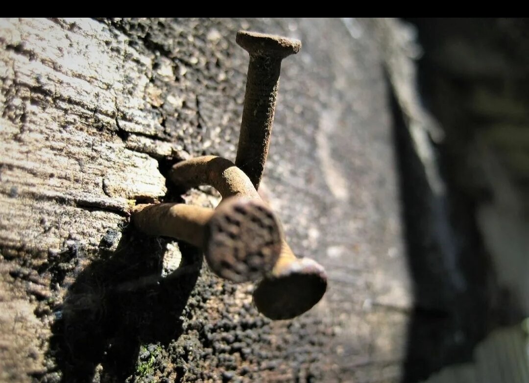 Притча о гвоздях  