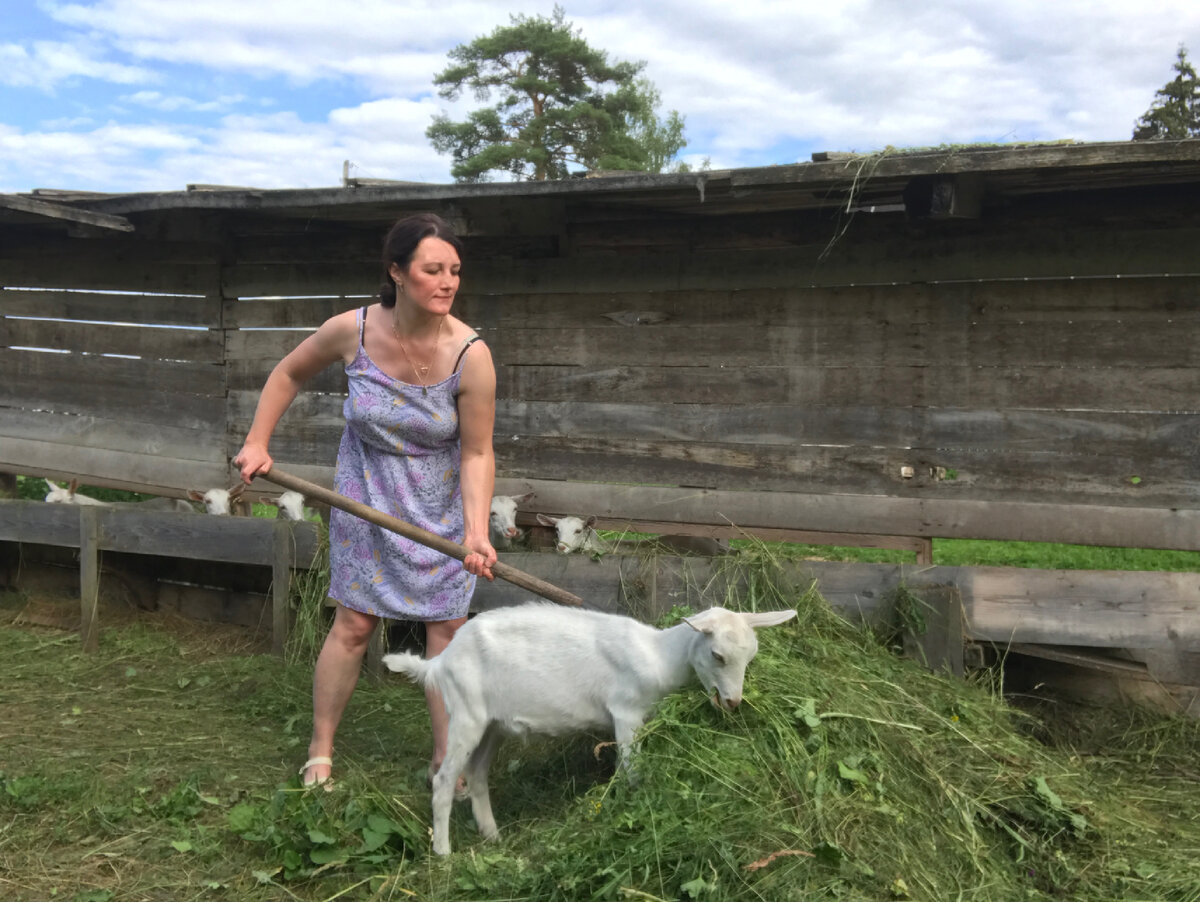 На каждой ферме есть навесы на выгульных площадках