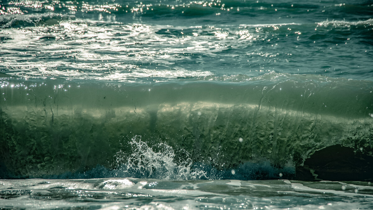 фото: ГТРК «Кубань»