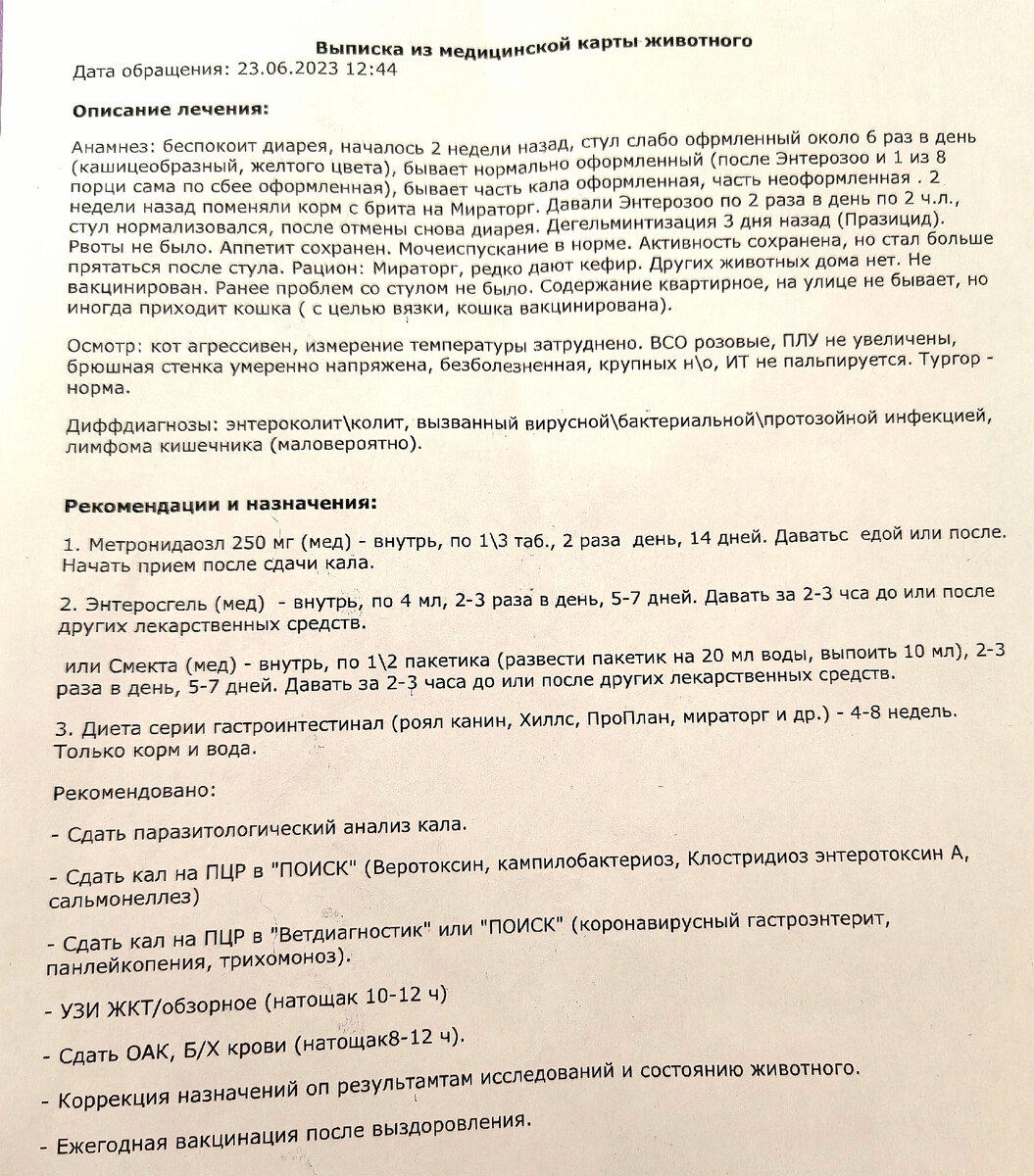 Посетила с котом ветеринарную клинику. Ощущение двоякое: проблема вроде и  не серьезная, но надо много денег | Путь к себе | Дзен