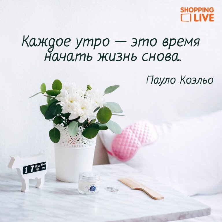 Картинка из Интернета 