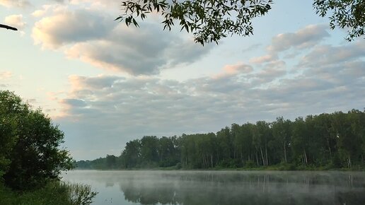 Природа родного края. У водоёма.