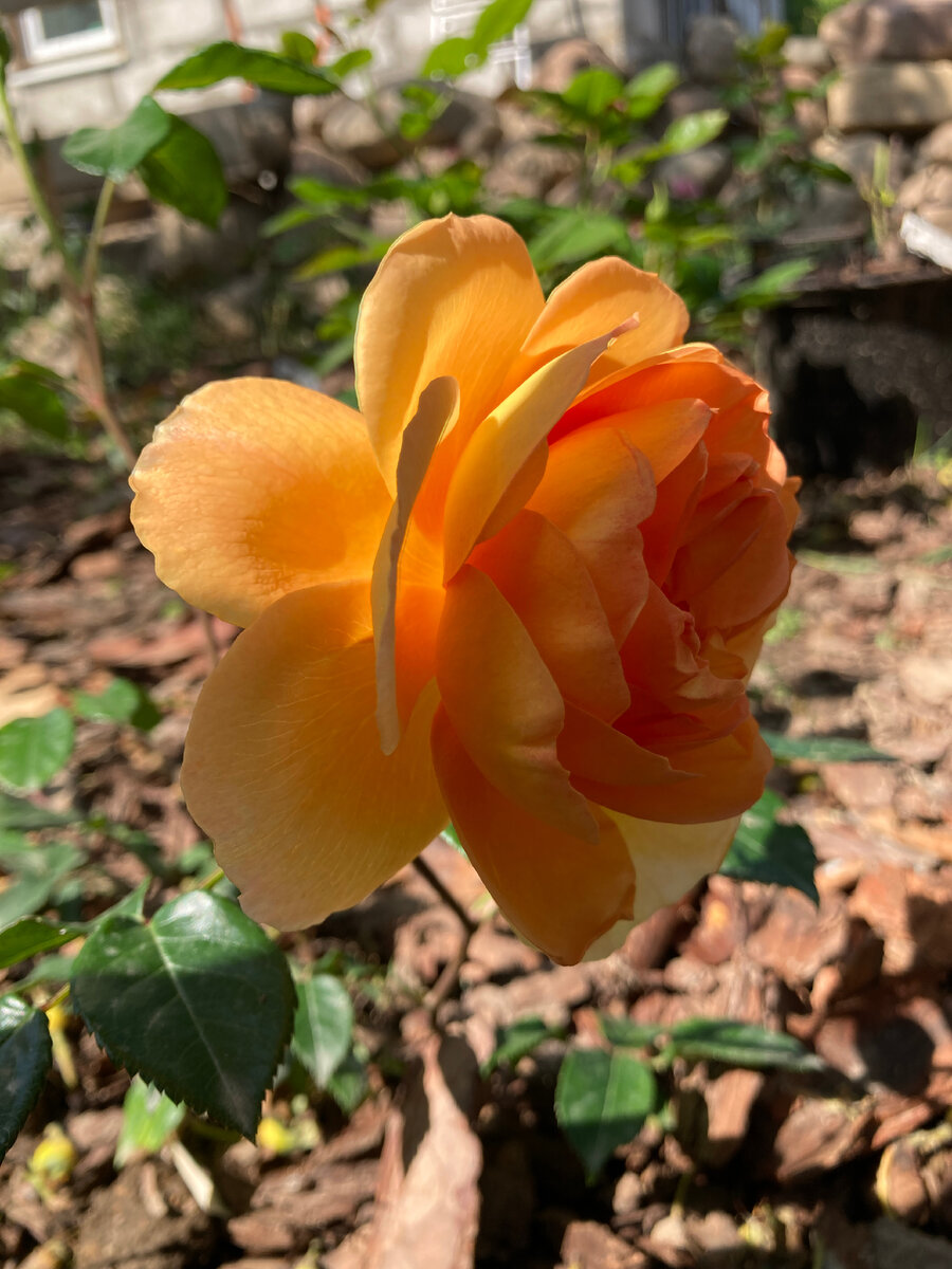 Как наносить пропитку для керамогранита | Женщина строит дом | Дзен