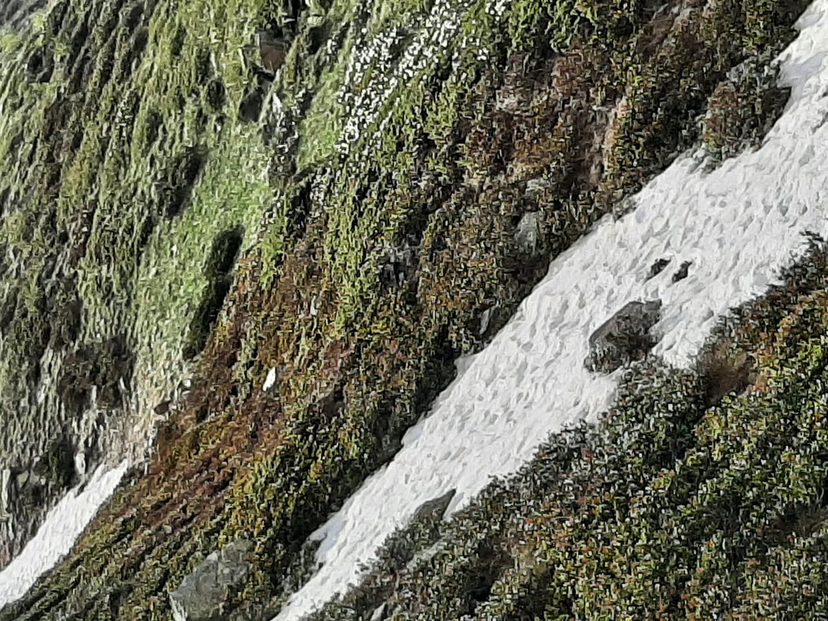 Фото Ларисы Малковой