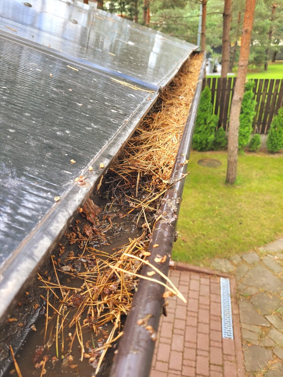 Вот так забивается ливнёвка, если её своевременно не чистить