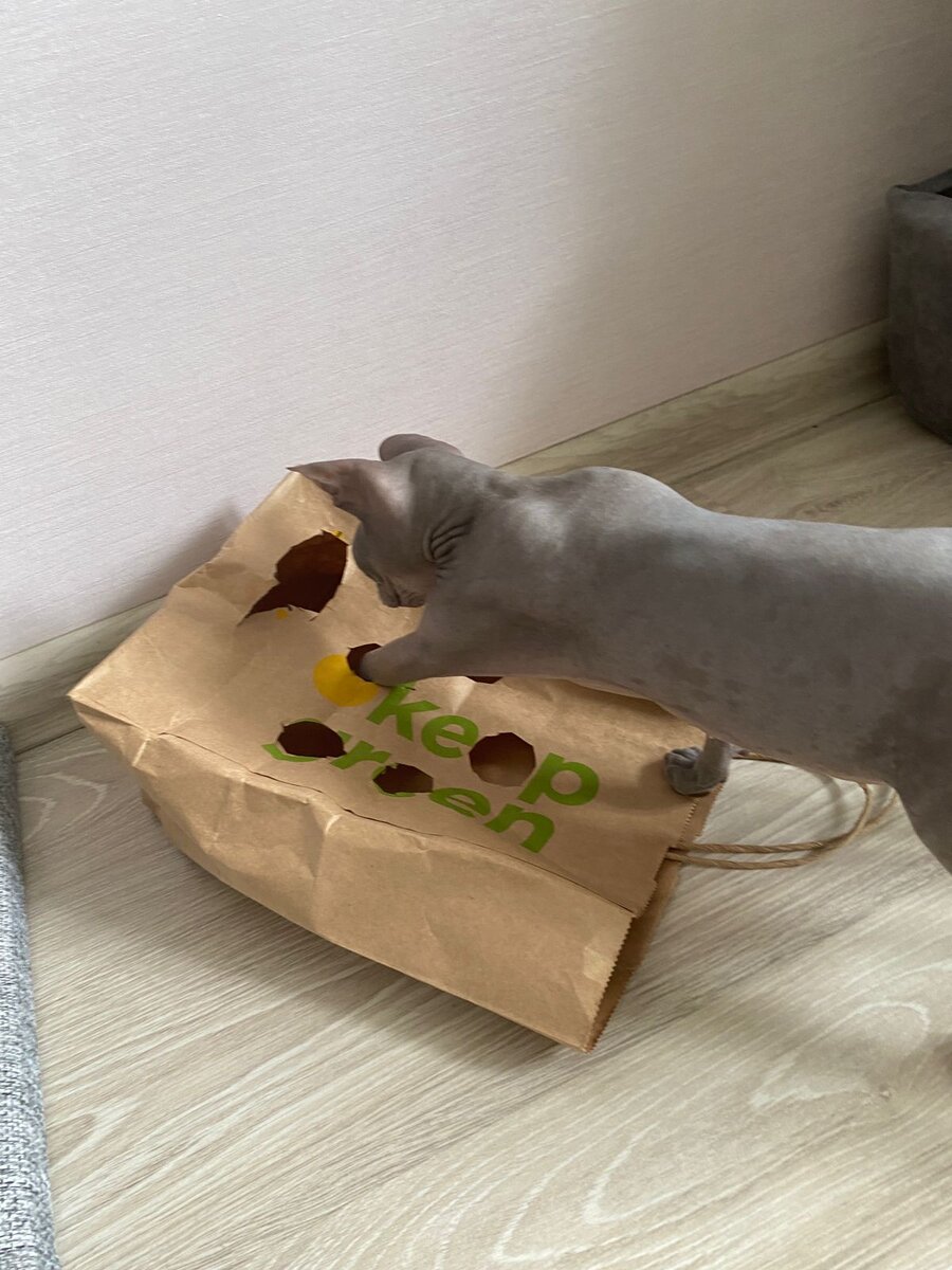 Так, что там такое интересненькое? 