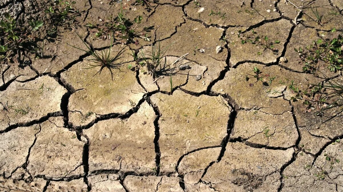 Фото: pxhere.com