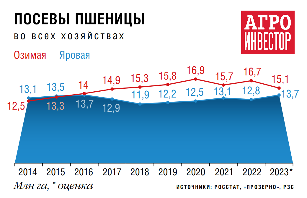 Пшеница 2024