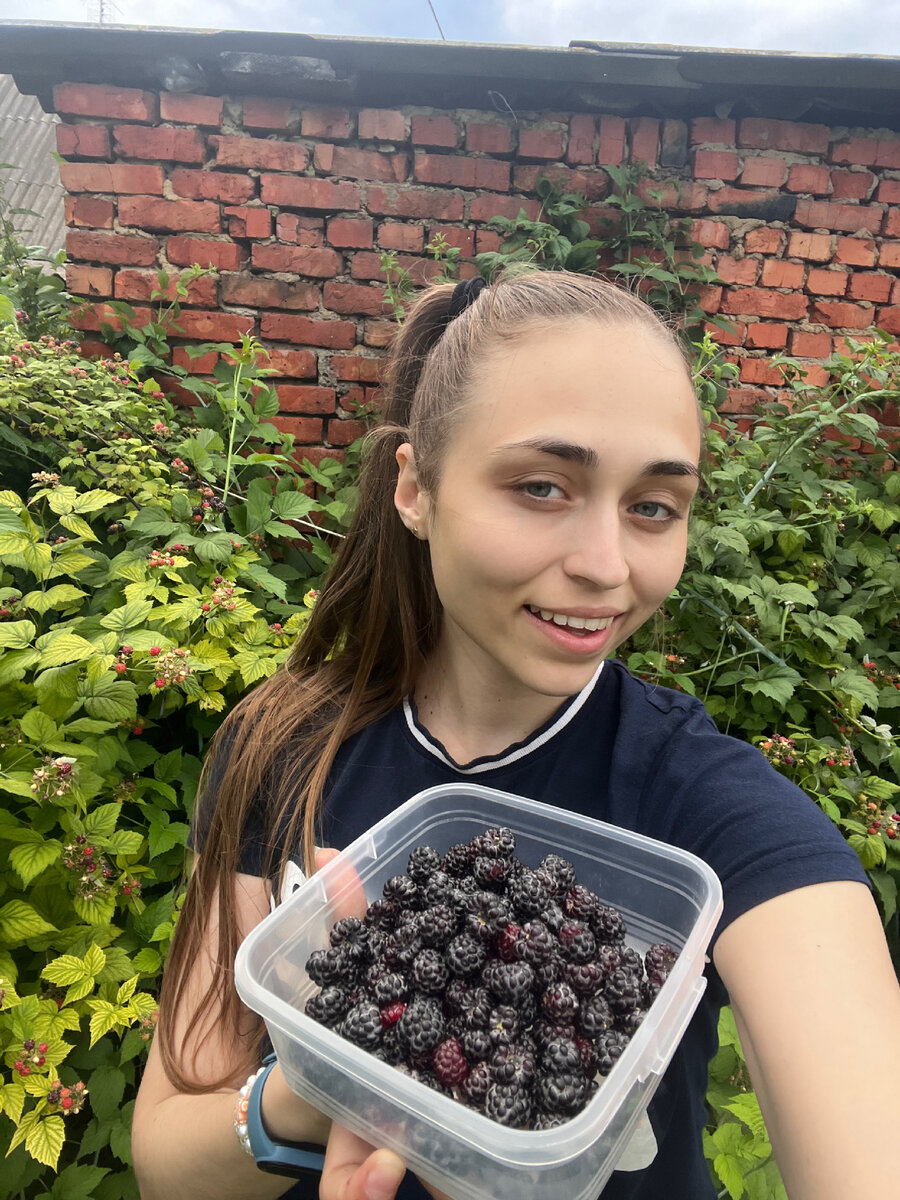 Собираю ежемалину перед дождем!