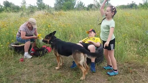 Посвежело, Кейси вспомнила про жёлтый мяч