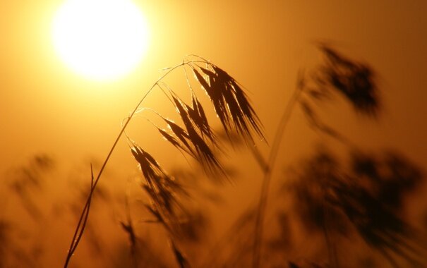 Упайи для Солнца