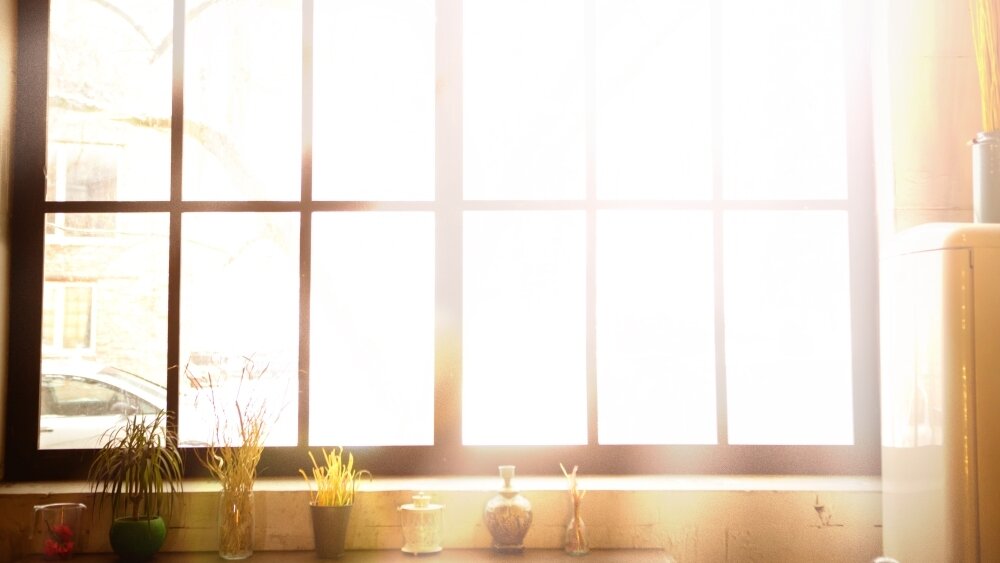    Фото: Shutterstock