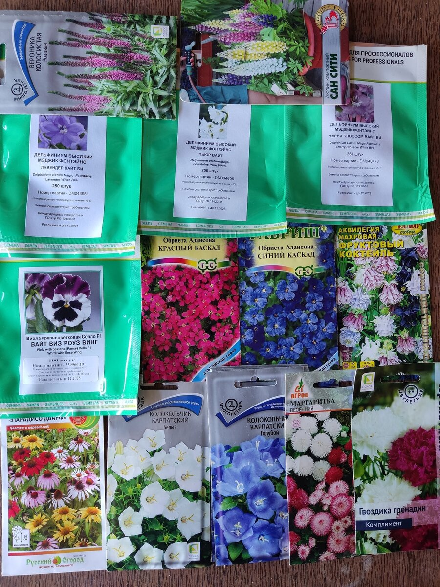 Подготовила семена к посеву