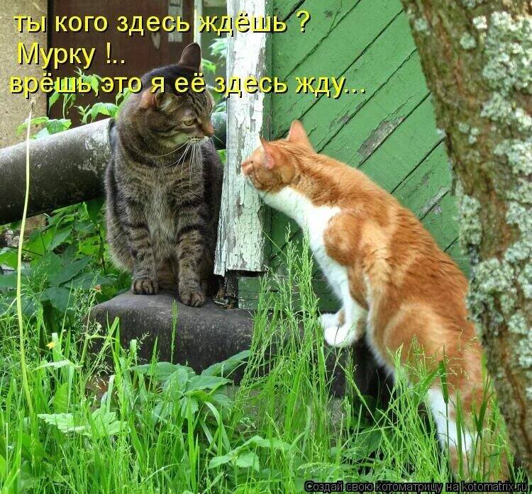 иллюстрация из яндекс картинки.