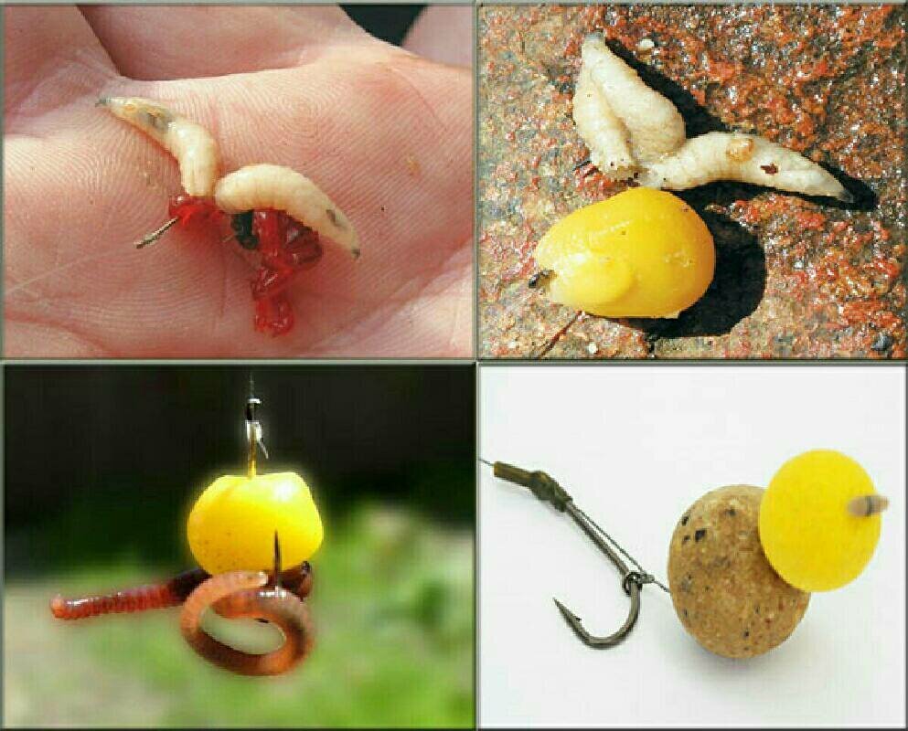 Фото с сайта: https://avatars.dzeninfra.ru