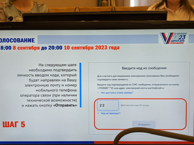 Могут ли проверить голосовал или нет. Электронное голосование. Система электронного голосования. Дистанционное электронное голосование. Электронные выборы.