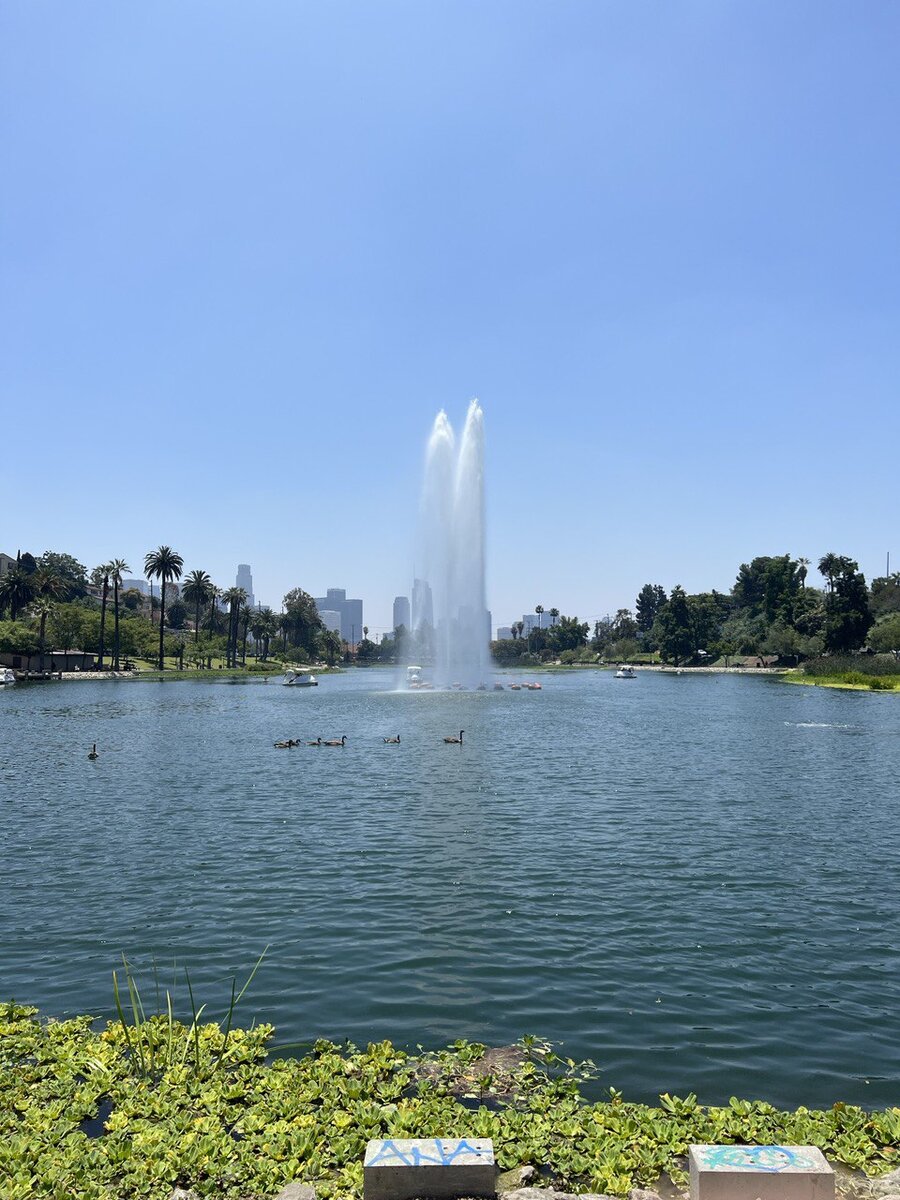 Парк в Лос-Анджелесе. Америка