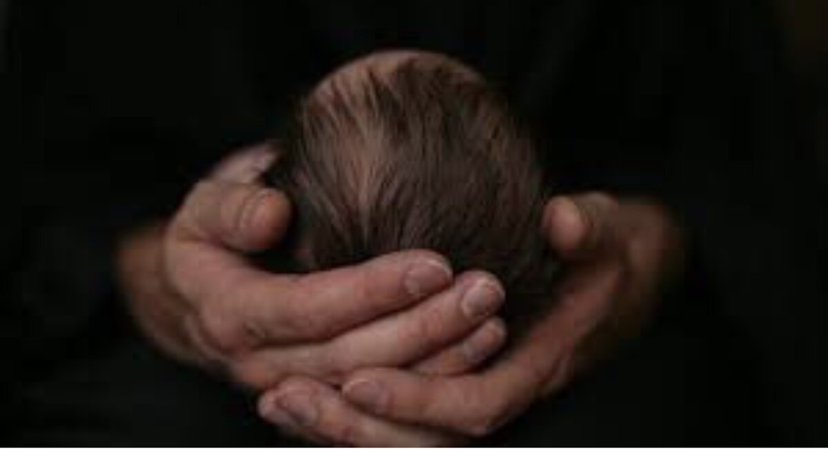 из свободных источников