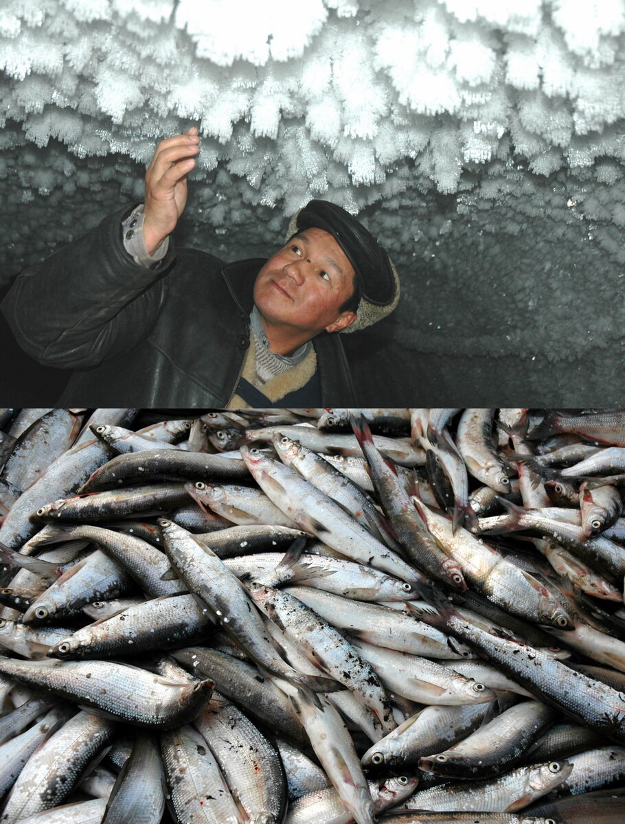 Ледяные кристаллы подземного царства и хранящаяся в нём рыба. Фото автора.