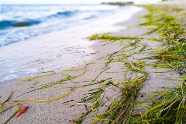   Фото из архива Калининград.Ru