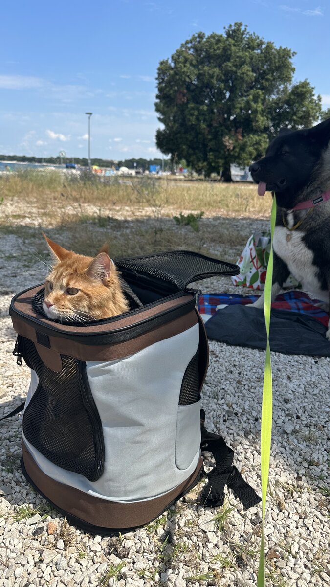 Пляжный отдых