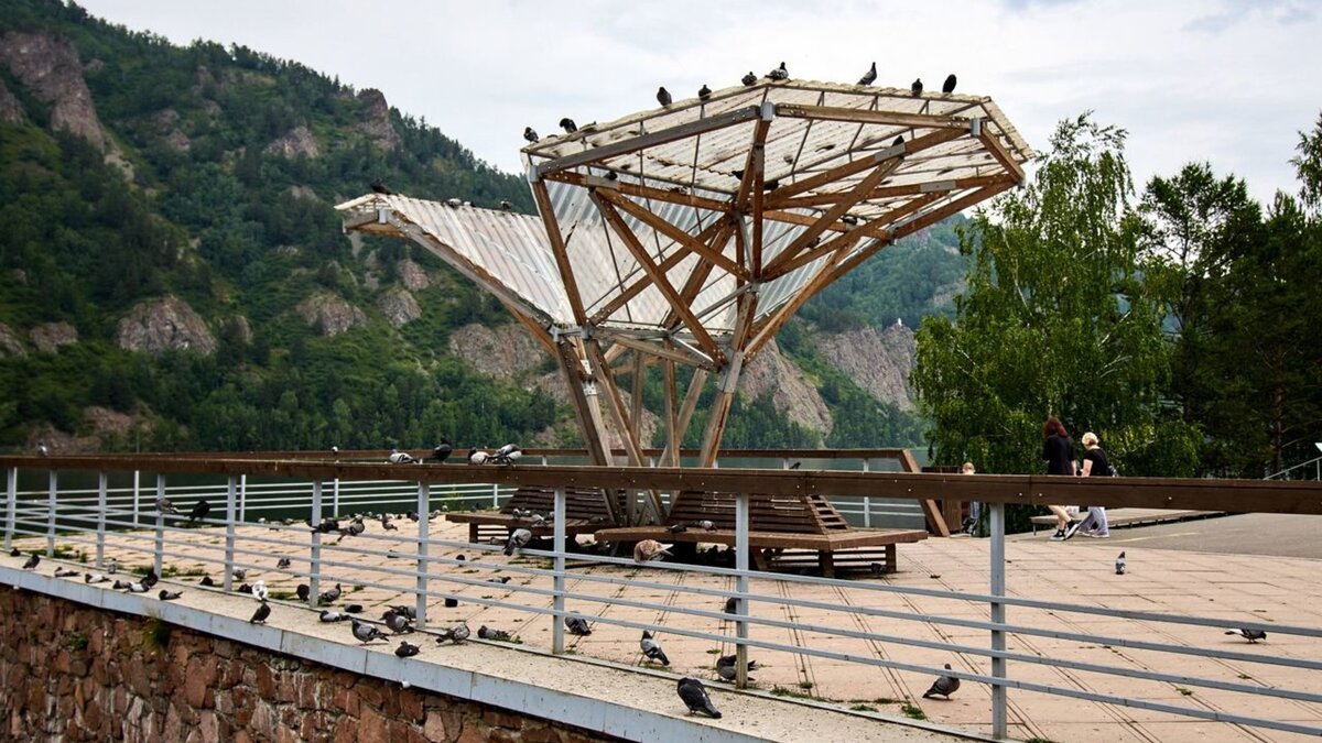     Красноярский фотограф Сергей Токарев показал, что бывает после кормления птиц в общественных местах.