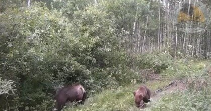 Охотхозяйство «Чугунаевское»📷
