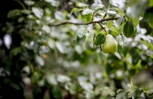    Фото: freepik.com Анна Полякова