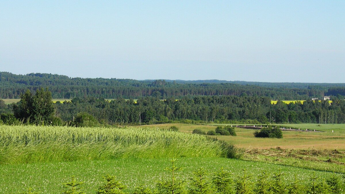  Сецская волость, Латвия // CC BY 3.0 / wikimedia / Aleksandrs Timofejev