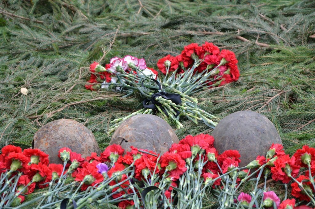 В Тверской области финансово помогут ещё двум поисковым движениям