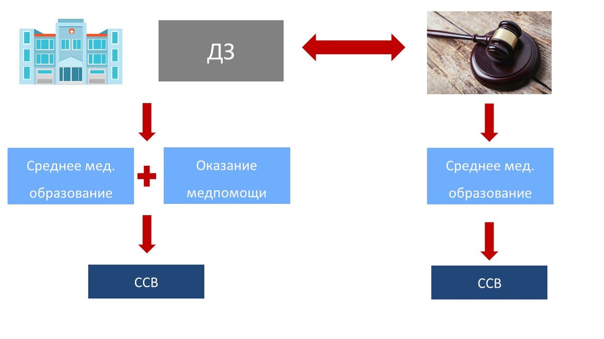 Иллюстрация А.В. Панова