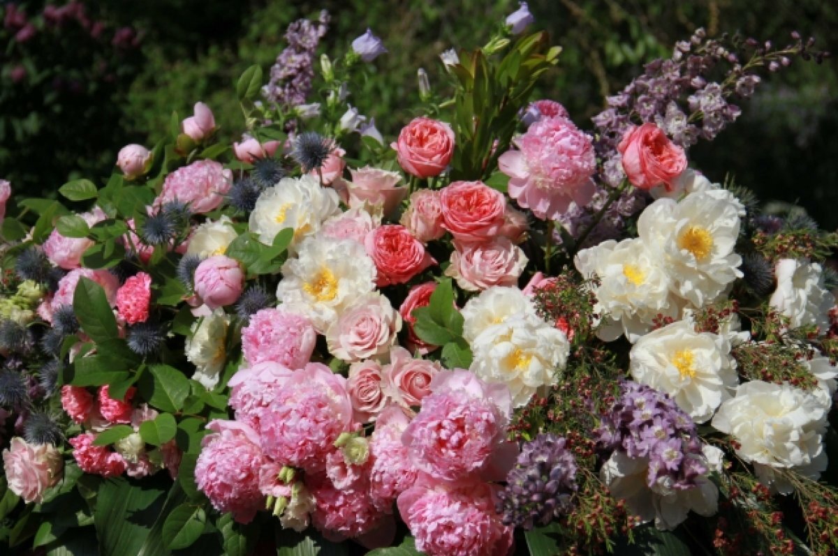    Орловский фестиваль цветов обойдется мэрии в 1,7 млн руб