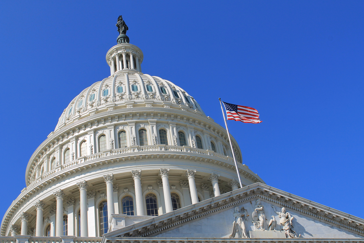 Government usa. Двухпалатный конгресс США. Сенат США Капитолий. Сенат США здание. Парламент США Вашингтон.