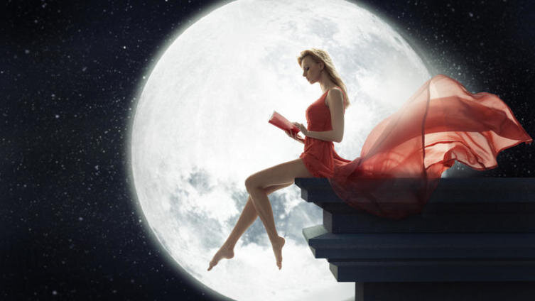     Фото: conrado, Shutterstock.com