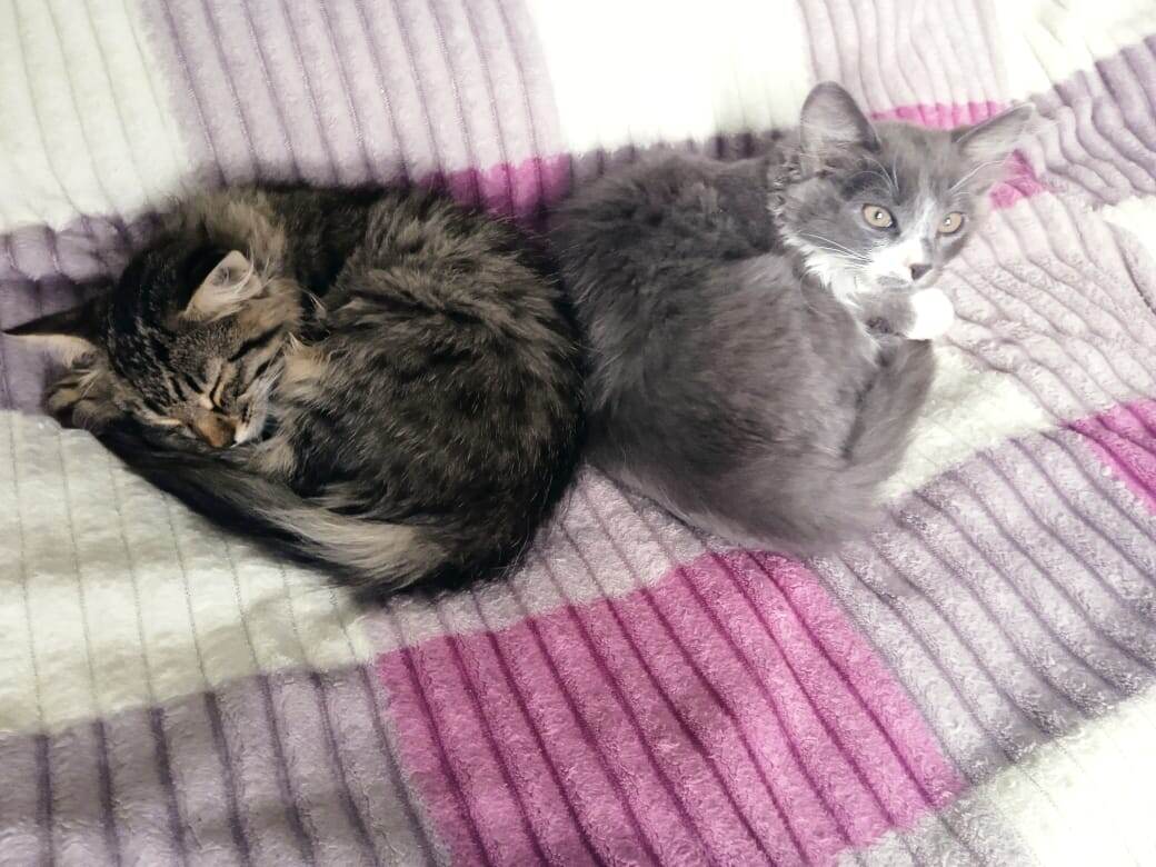 Василий  с Марфушкой отдыхает.