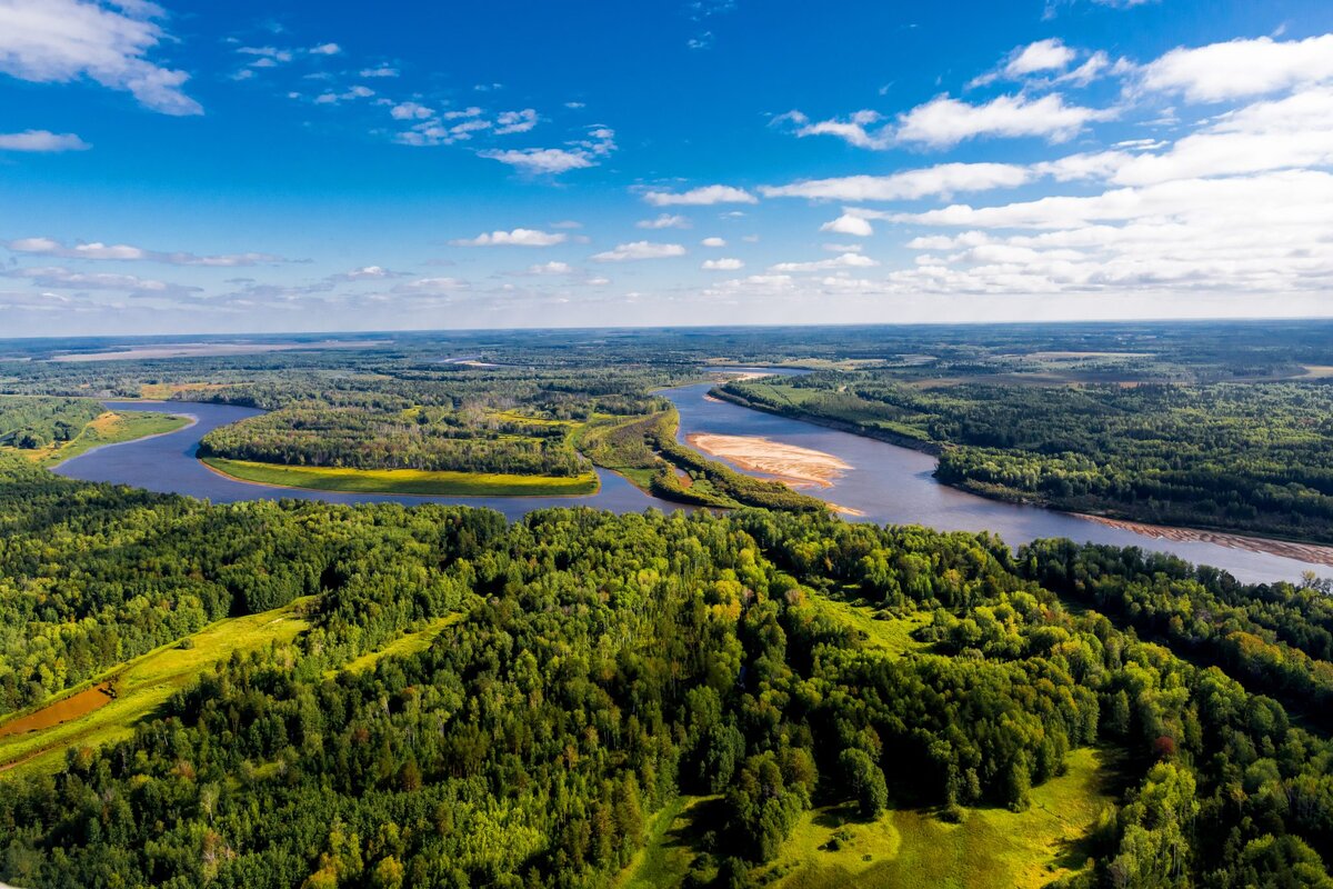 Васюганские болота