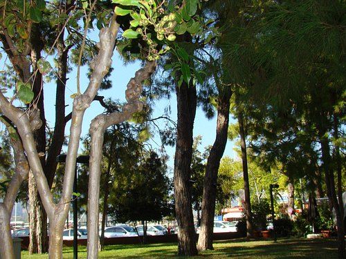 Фото: tripadvisor.com