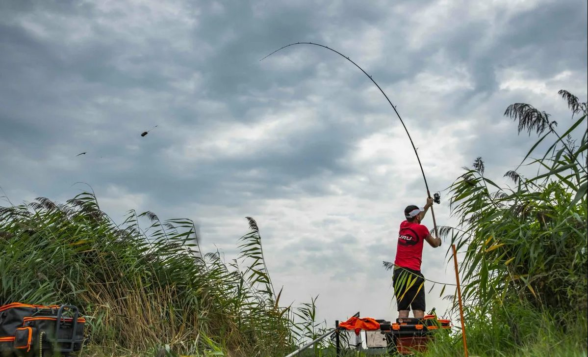 Fed fishing. Feeder Fishing. Фидер (Рыбная ловля). Фидер для рыбалки. Фидерное удилище на природе.