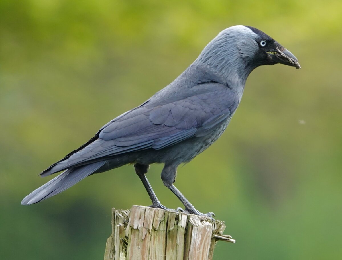 Картинка с бесплатного фотостока https://unsplash.com, автор Andrew Cowan