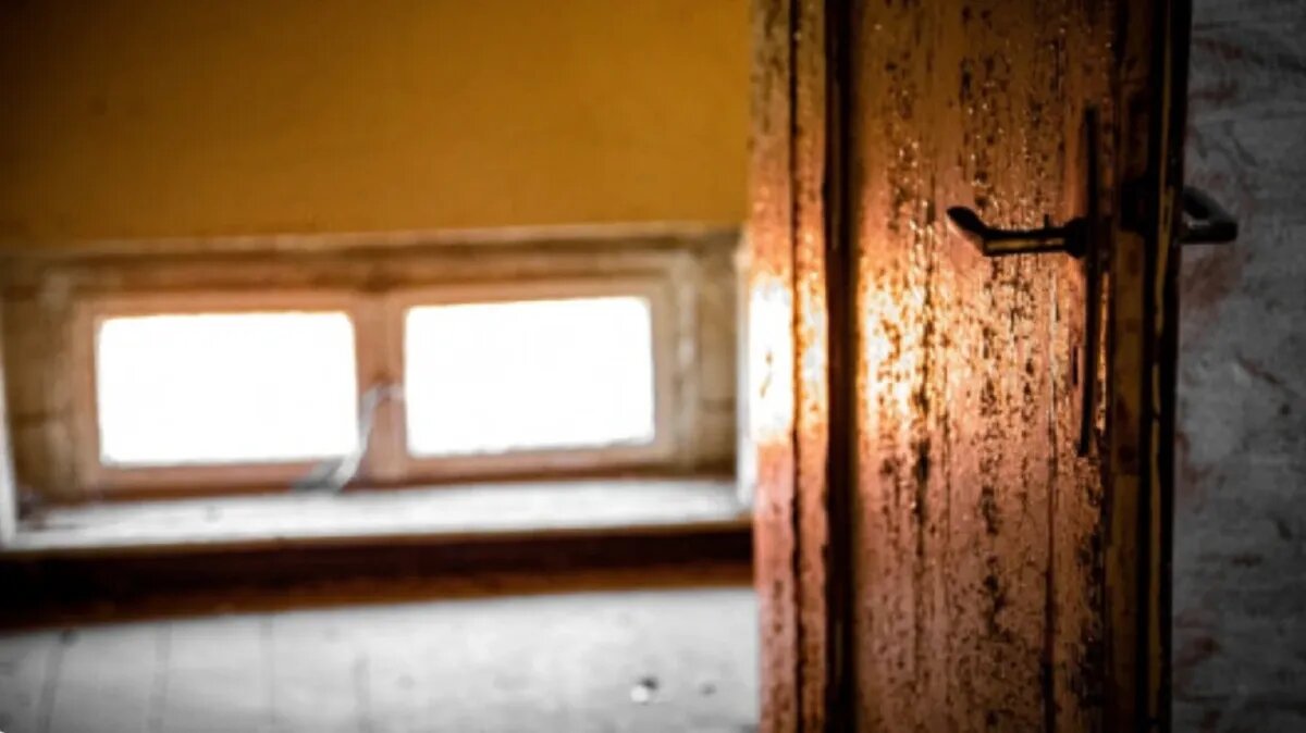 Фото: Администрация Усть-Тарского района