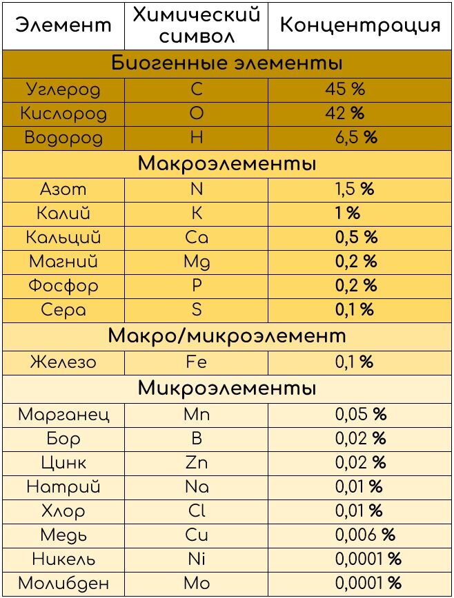 Макроэлементы первой группы. Макроэлементы азот фосфор калий.