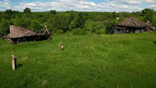 Огромная заброшенная деревня Старообрядцев \ Посмотрел, что осталось в домах \ Предметы быта и веры до сих пор на месте