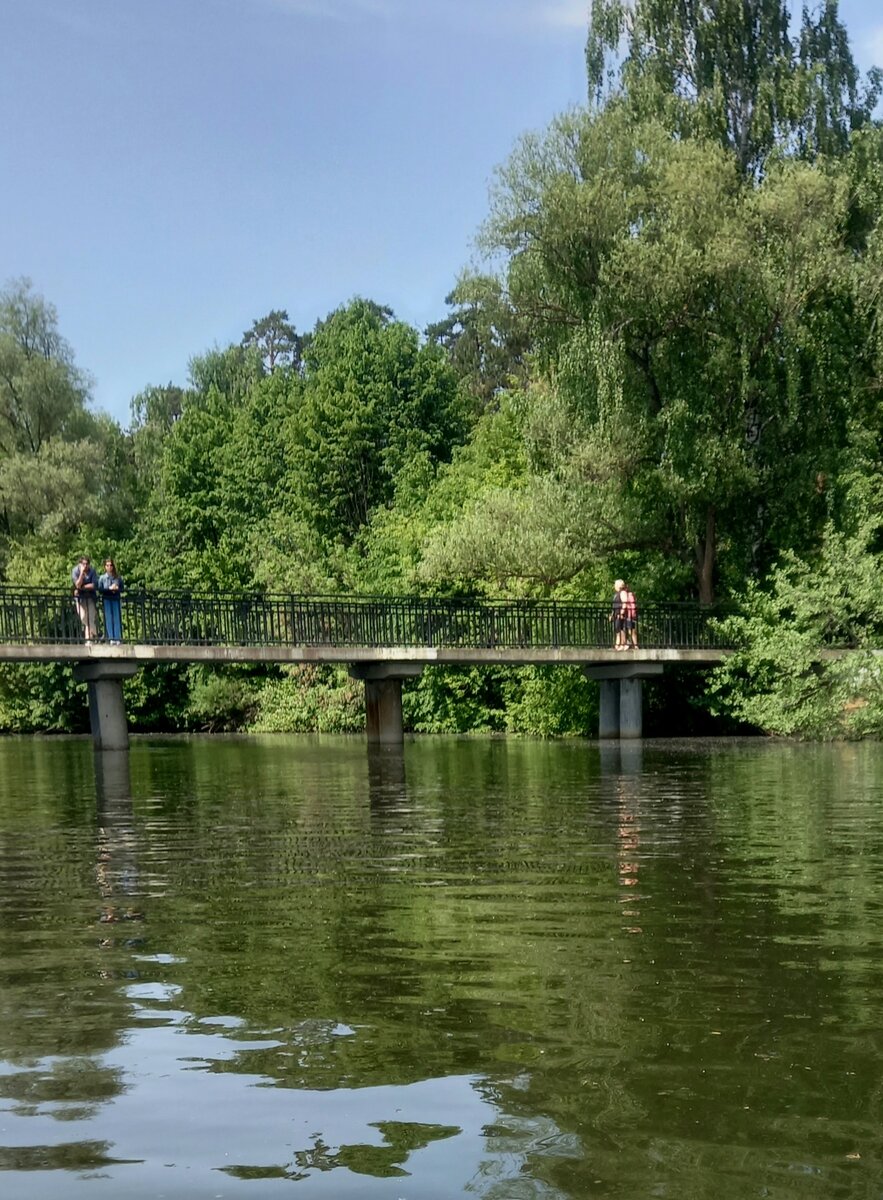 Мосты в Серебряном Бору парке