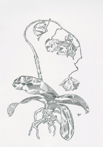 Маркина Марина "Жизнь", тушь, бумага, формат А3, 2020 год.