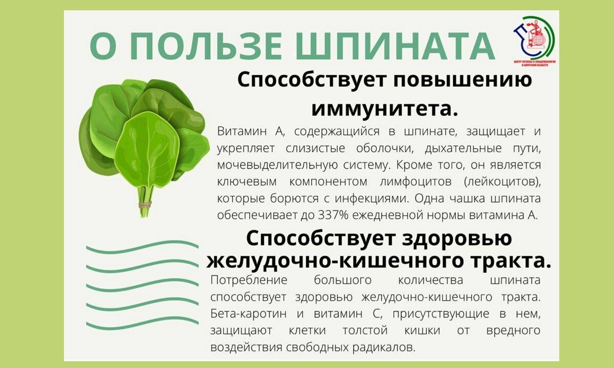 Шпинат польза. Шпинат огородный витамины. Чем полезен шпинат. Чем полезен шпинат для организма.