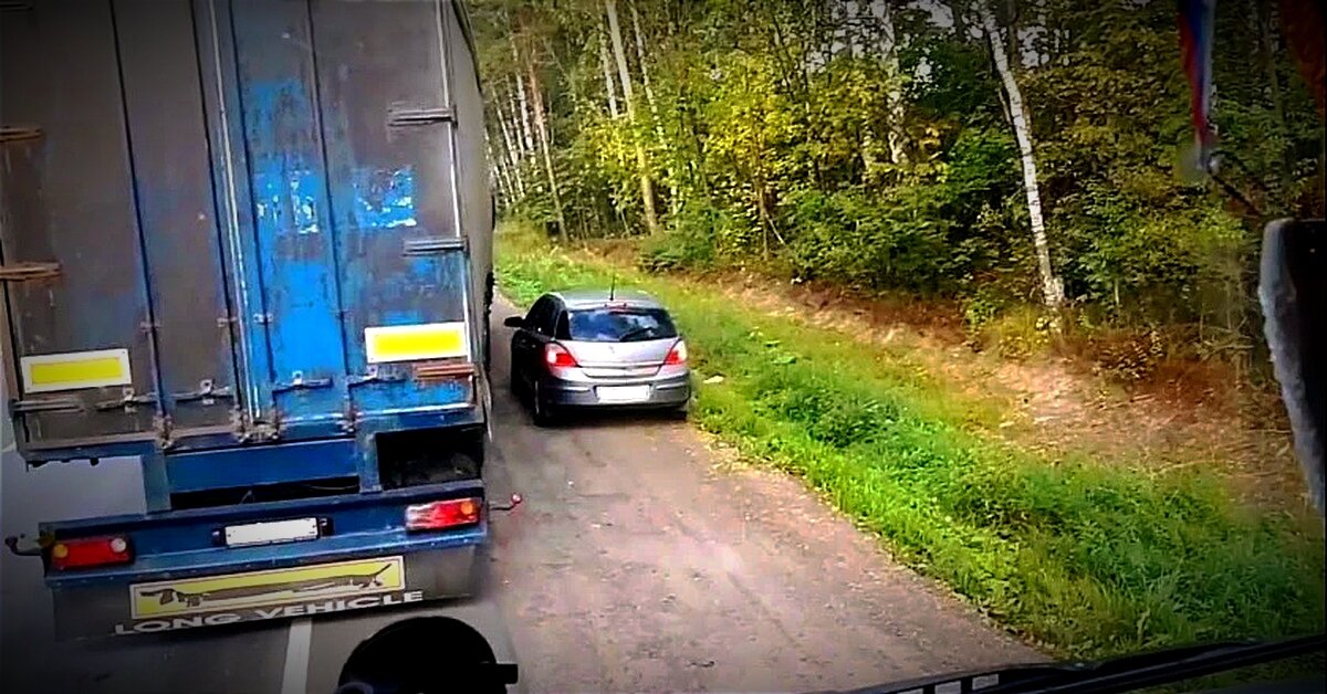 А мне вот его жалко... Пролетел бы спокойно, никому не мешая. Так нет же! 