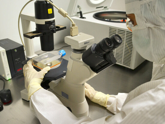     Покрыть лечение можно за счет страховки. Фото: Pexels