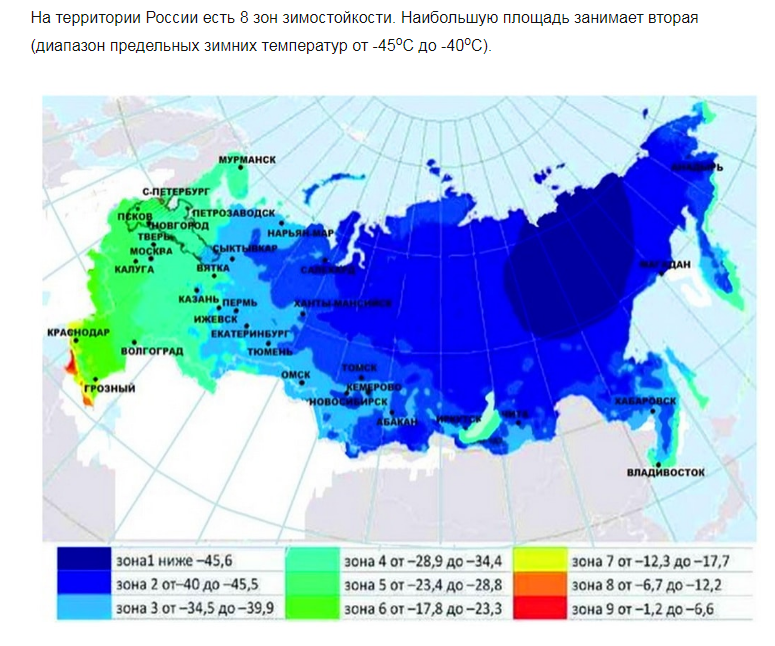 Зоны зимостойкости России в зависимости от температур воздуха