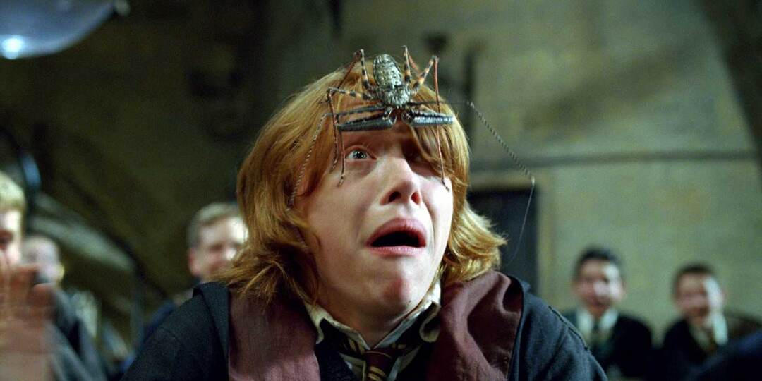 Секреты Гарри Поттера. О чем умолчали фильмы X